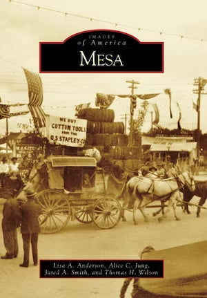 Mesa Book