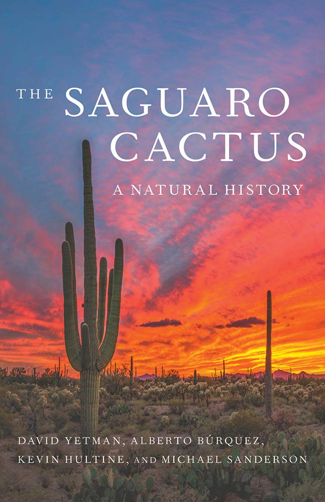 The Saguaro Cactus: A Natural History – Why I Love Where I Live