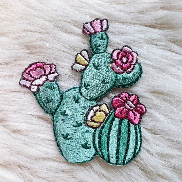 Prickly Pear Cactus Patch