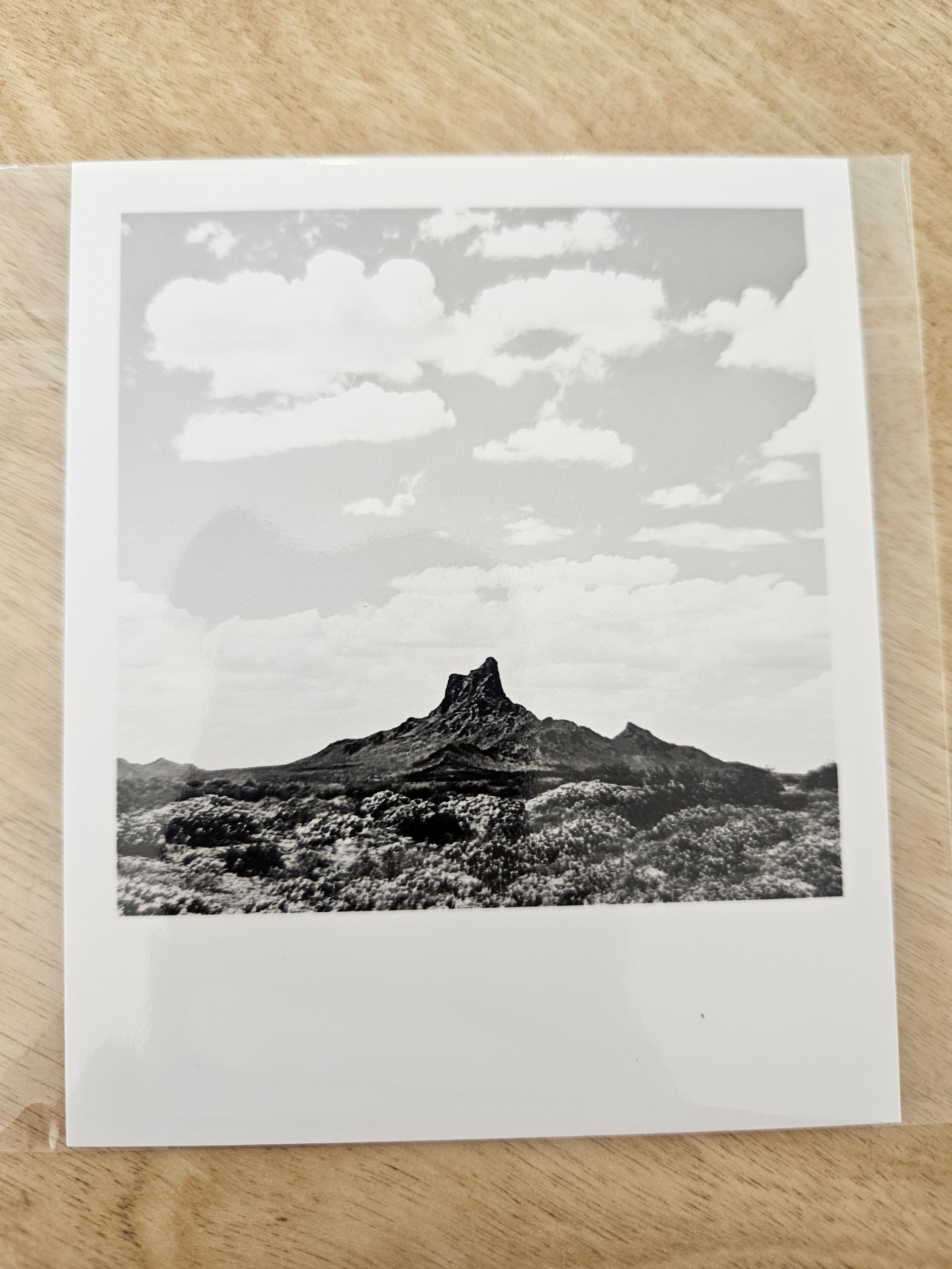 (C) Polaroid - Photo - Picacho Peak