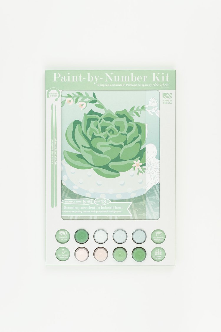 Blooming Succulent Paint-by-Number Kit