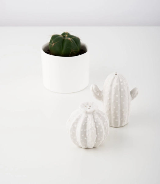 Cactus Salt and Pepper Shakers