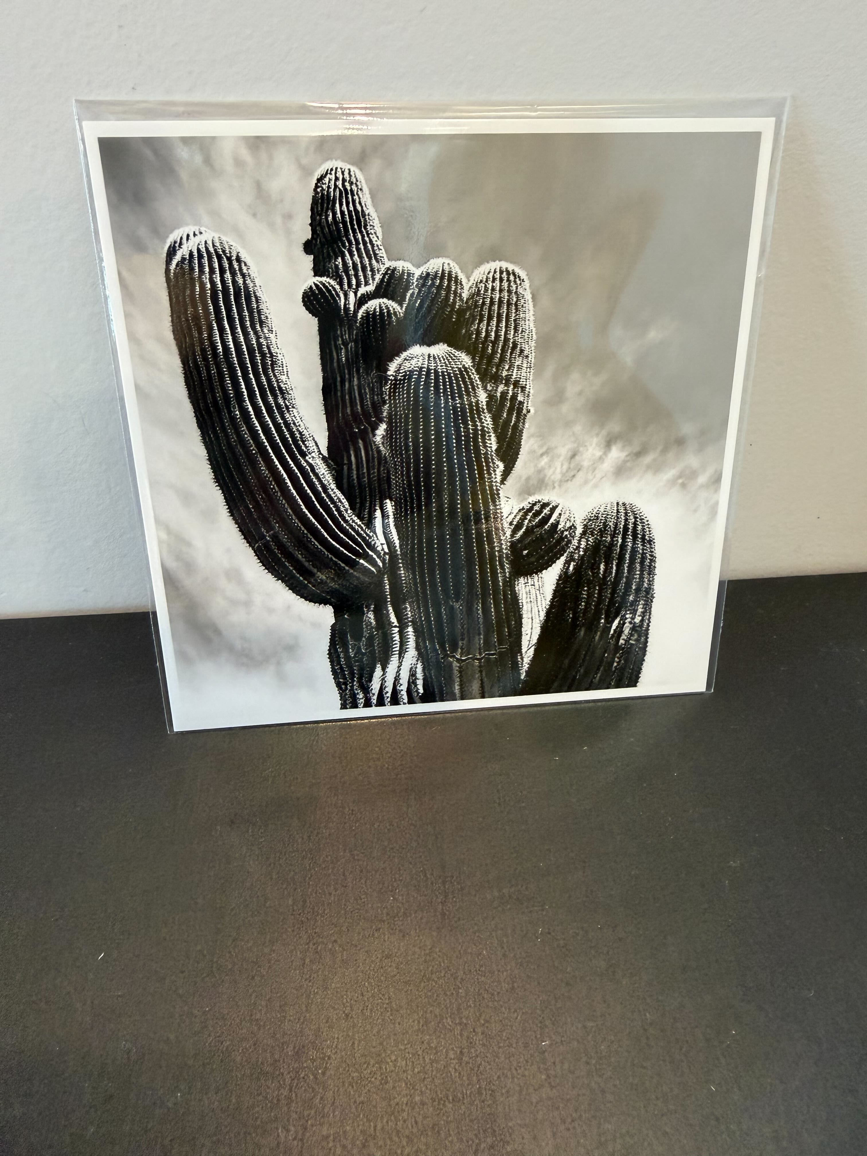 (C) 4x4 - Saguaro Desert Icon