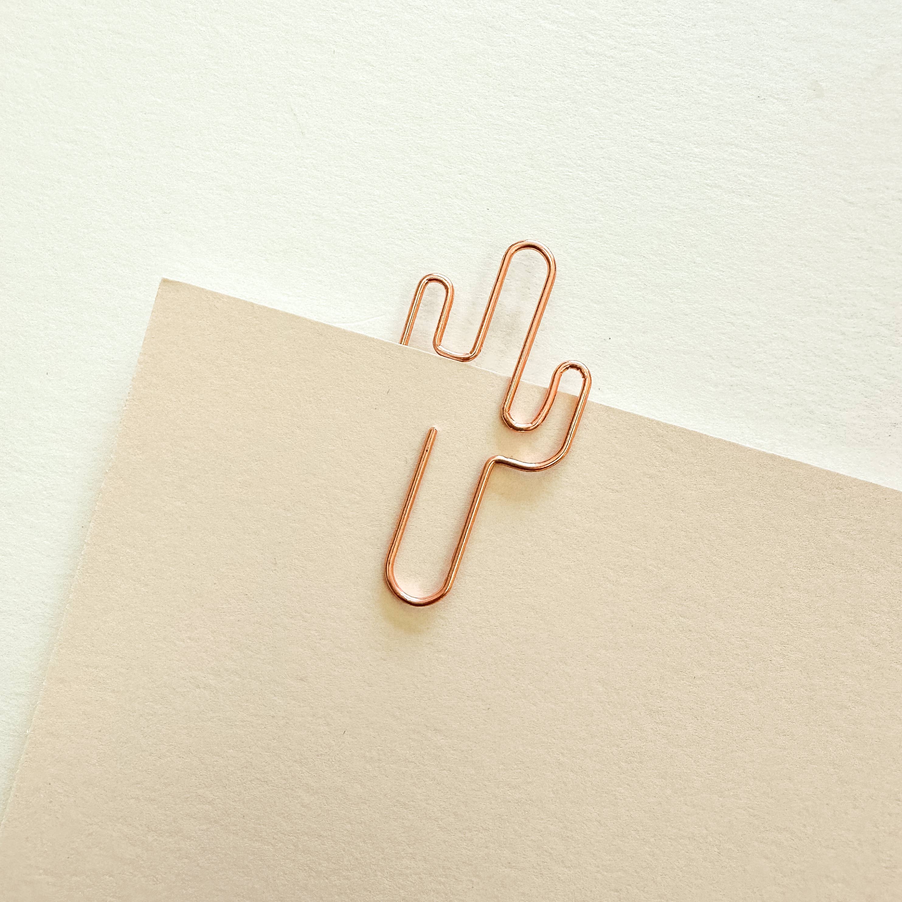 Cactus Paperclips