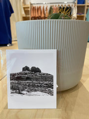 (C) Polaroid - Cathedral Rock