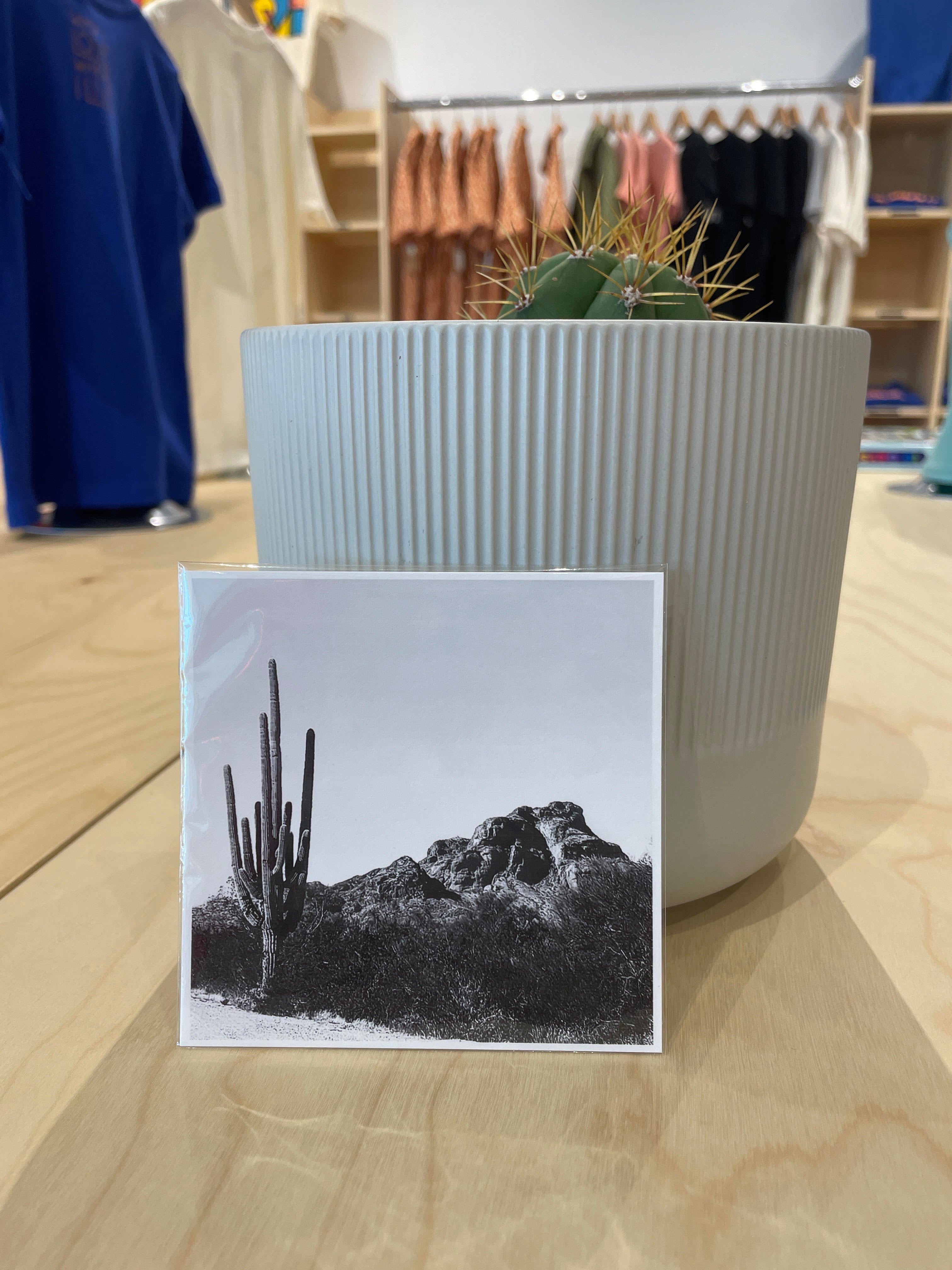(C) 4x4 - Large Cactus & Mtn