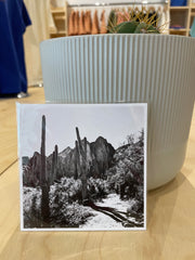 (C) 4x4 - Saguaro Lake Ranch - Bulldog Cliffs