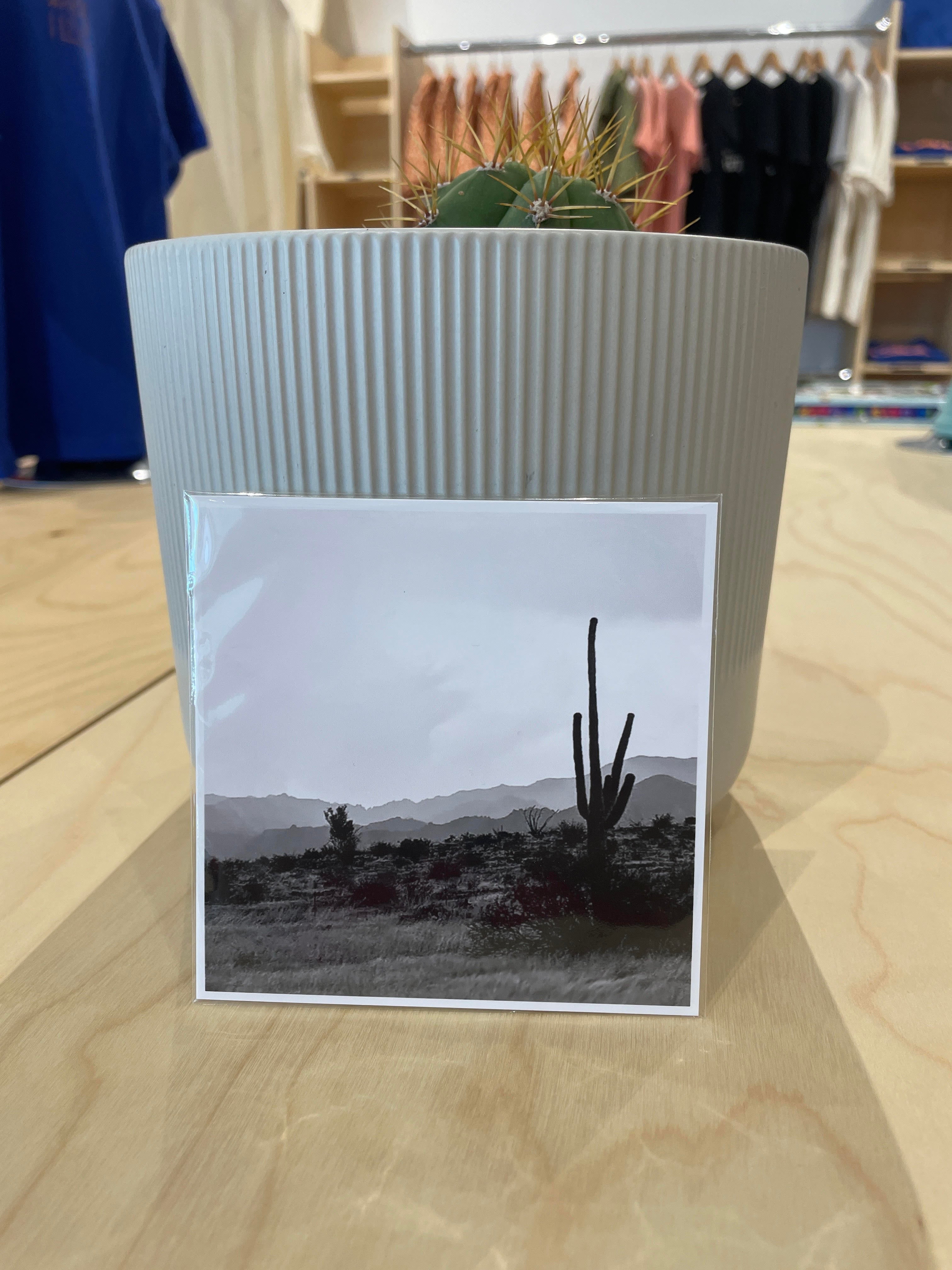 (C) 4x4 - Road Trip - 87A