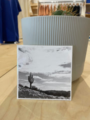 (C) 4x4 - Standing Tall