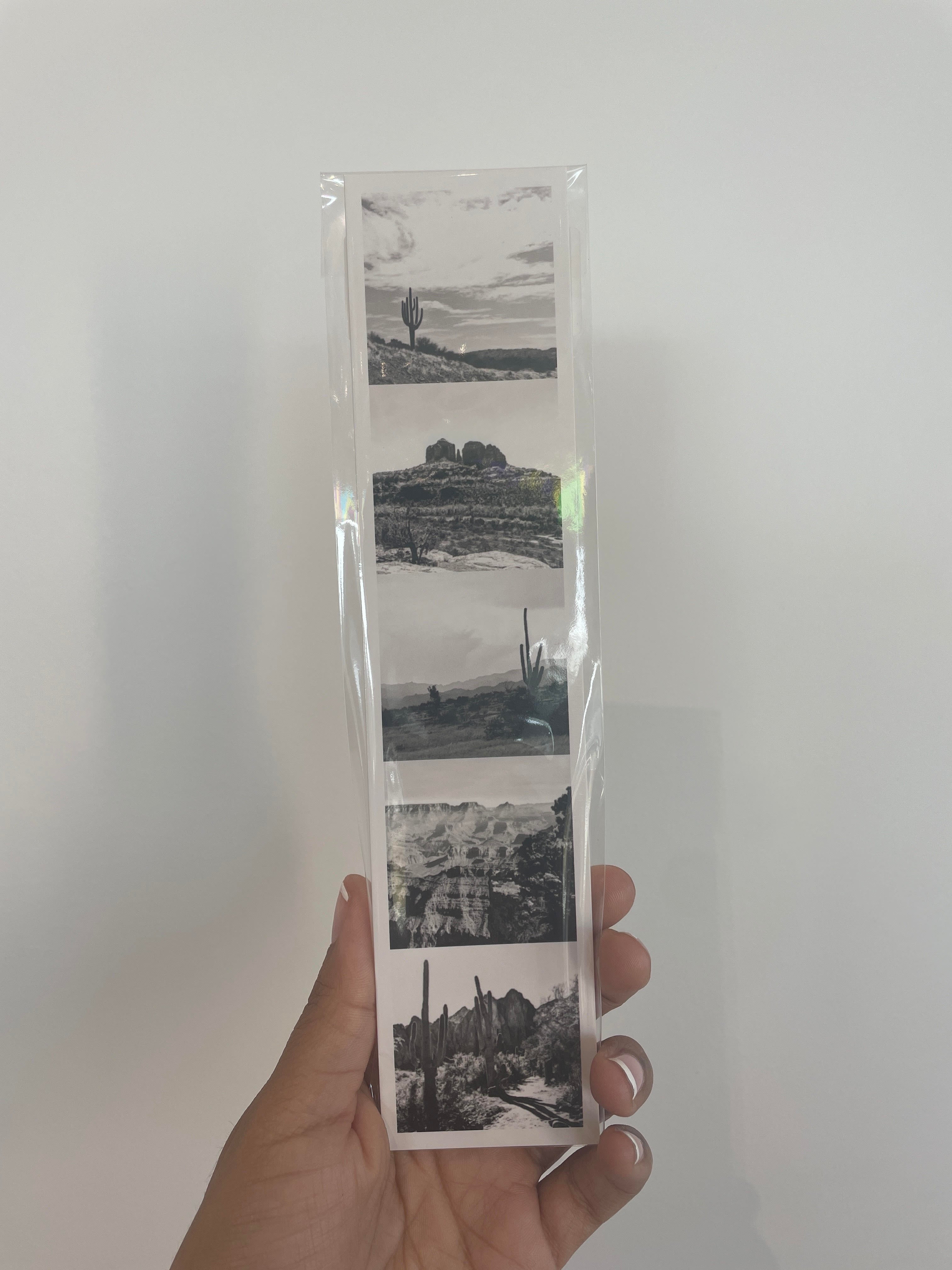 (C) Photostrip