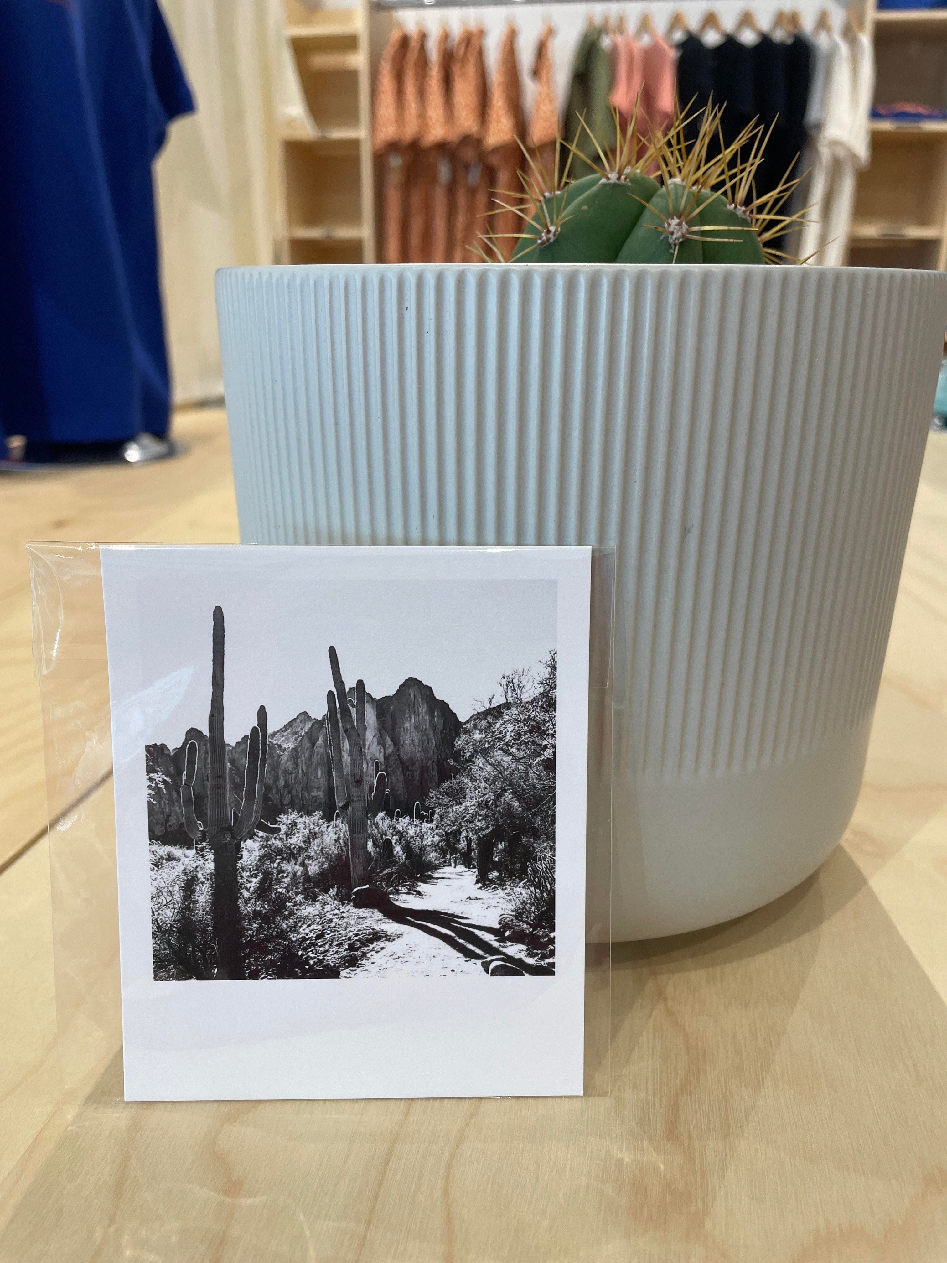 (C) Polaroid - Saguaro Lake Ranch - Bulldog Cliffs