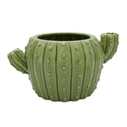 Cactus Flower Pot