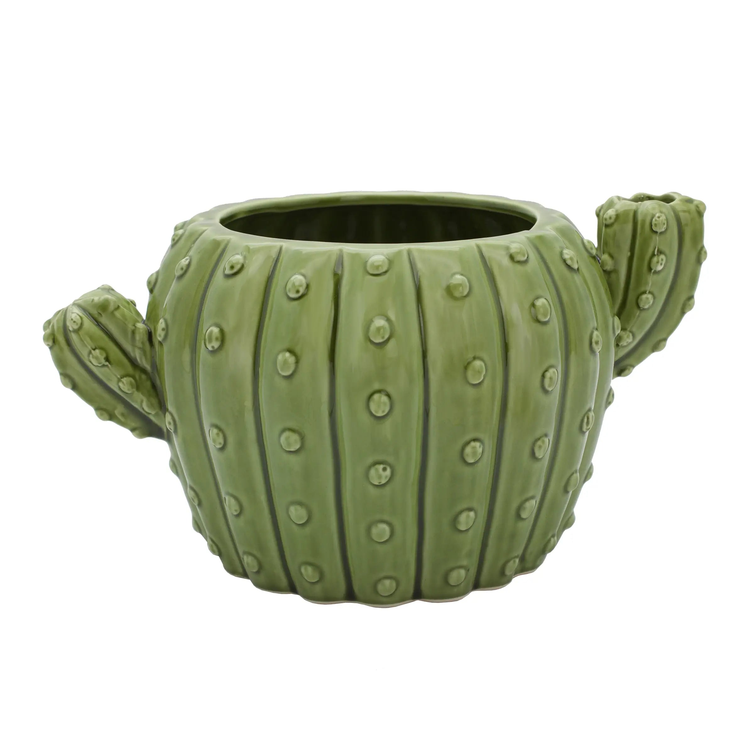 Cactus Flower Pot
