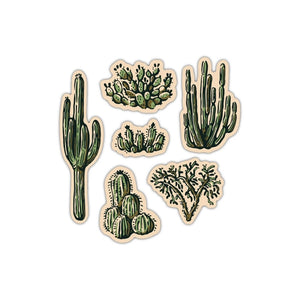 Nature Study Water Bottle Sticker Pack | Cacti