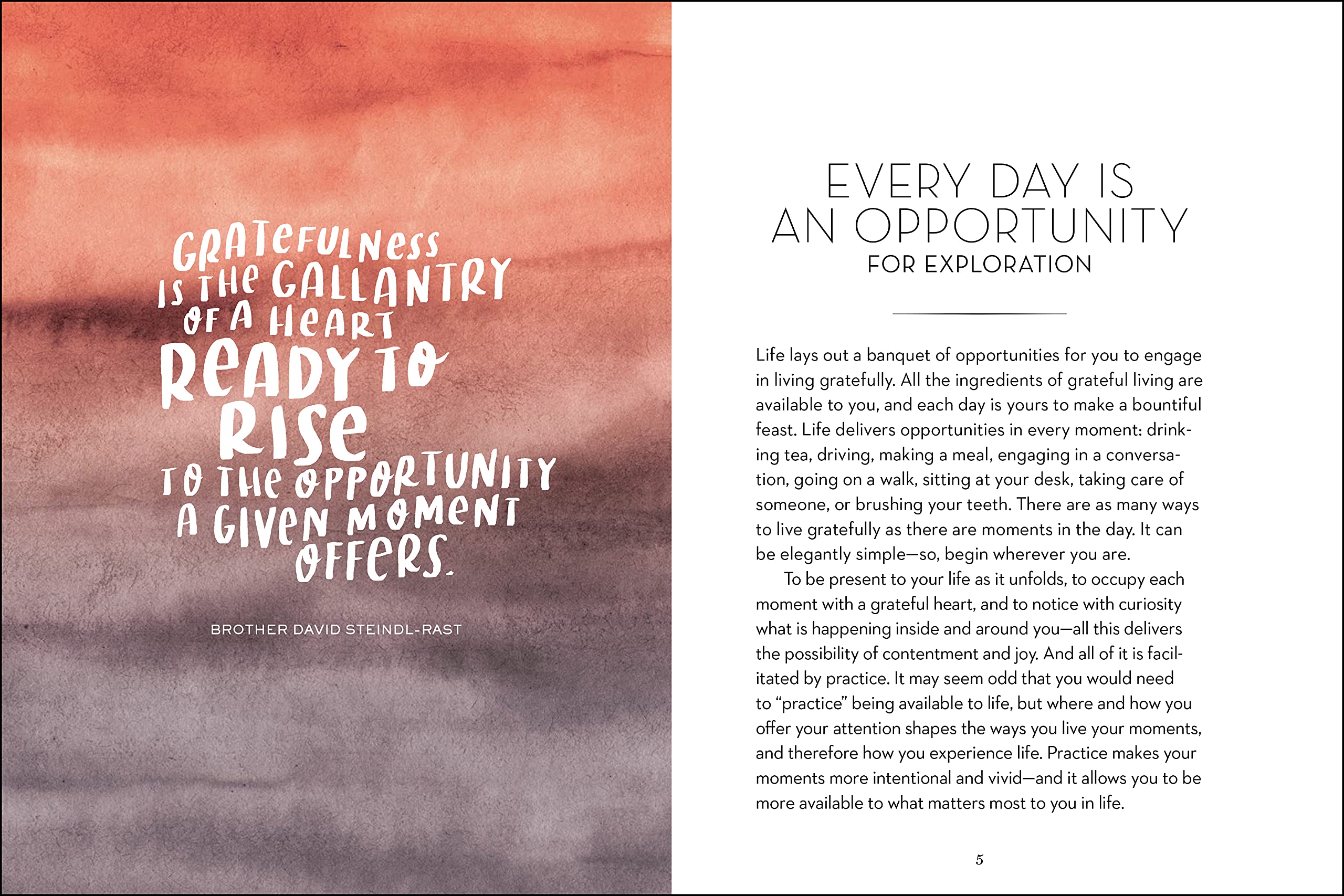 The Gratitude Explorer Workbook: Guided Practices, Meditations, and Reflections for Cultivating Gratefulness in Daily Life