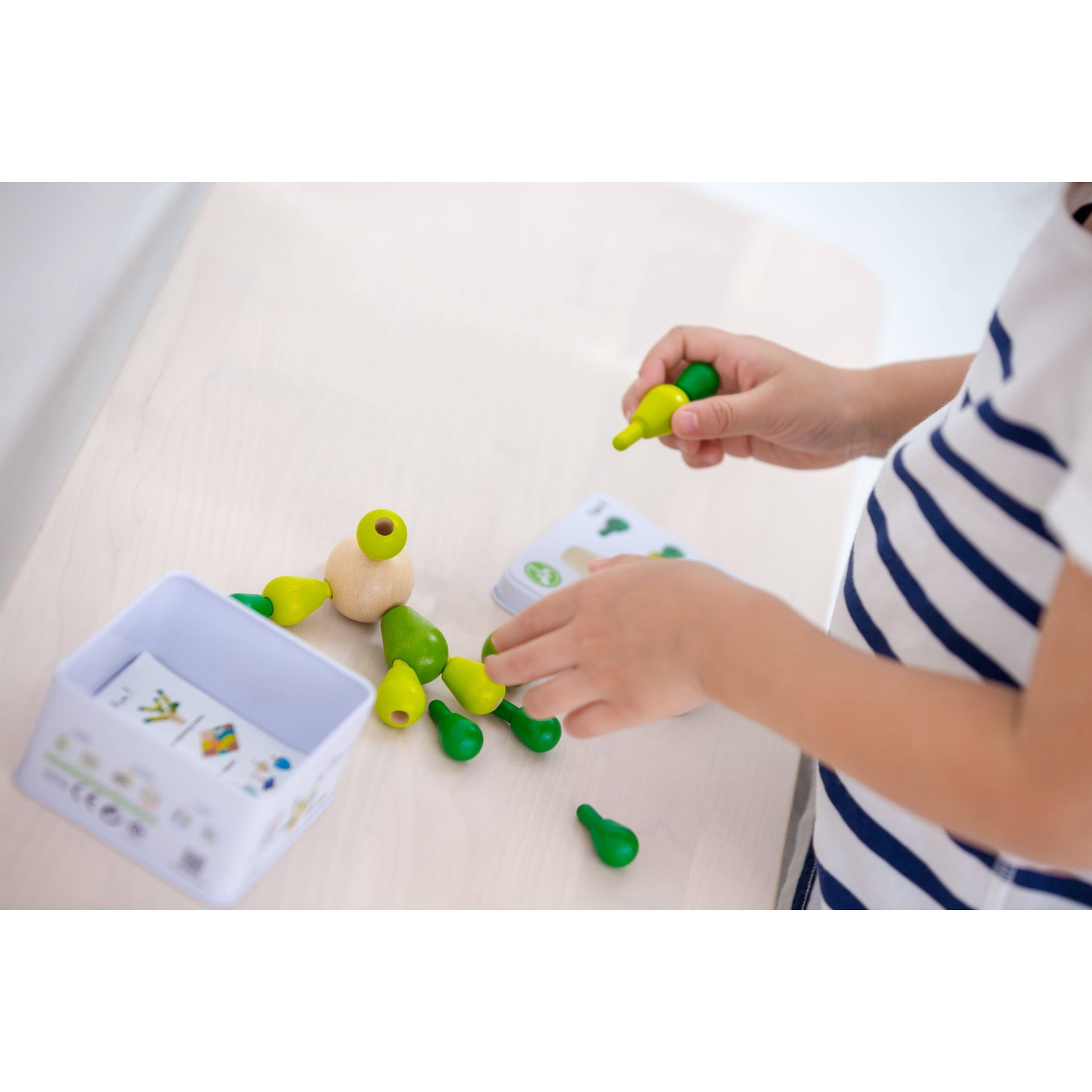 Balancing Cactus | Small