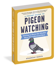 A Pocket Guide to Pigeon Watching