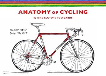 Anatomy of Cycling