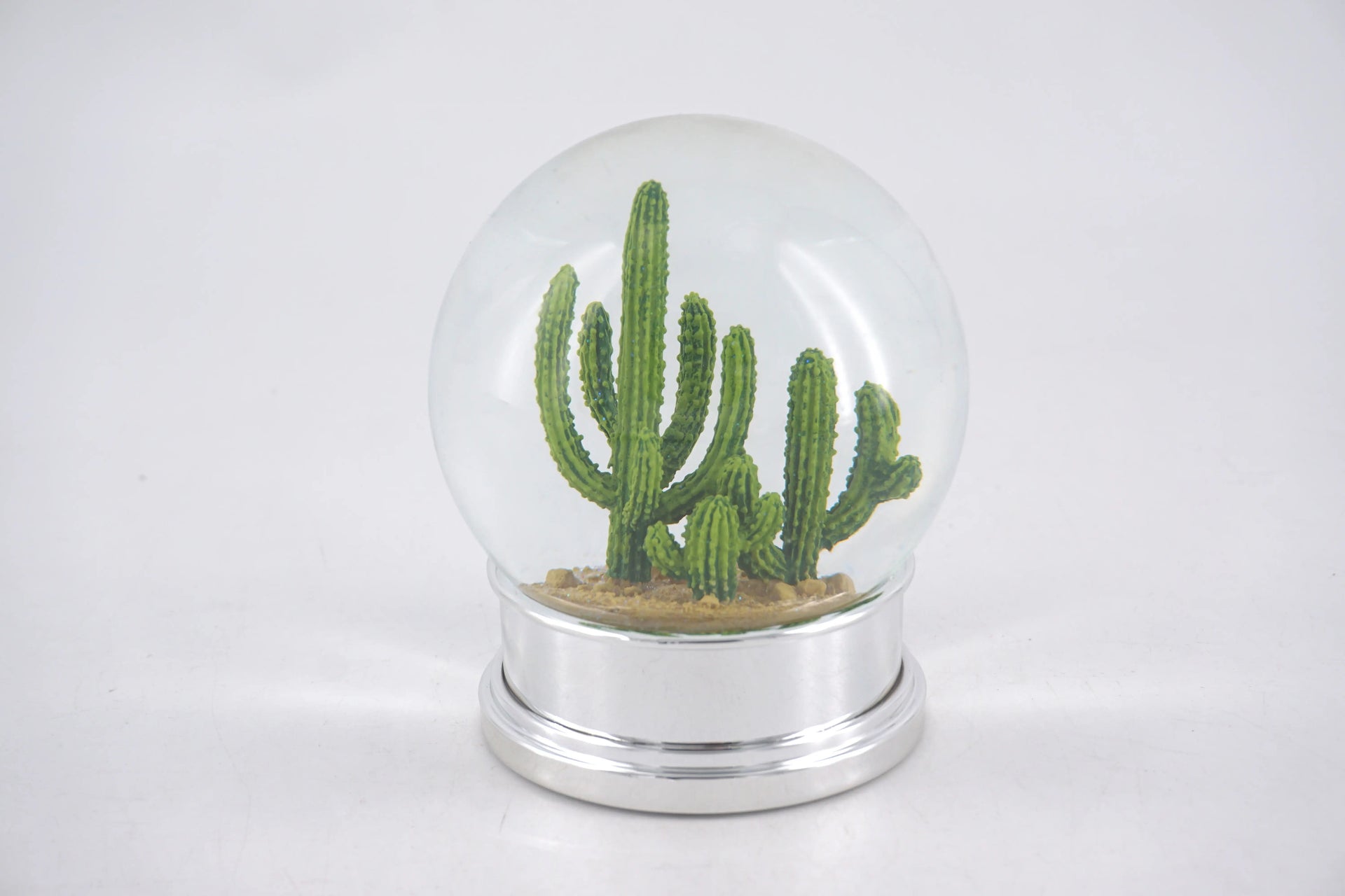 succulent snow globe Cactus Desert Snow Globe – Why I Love Where I Live