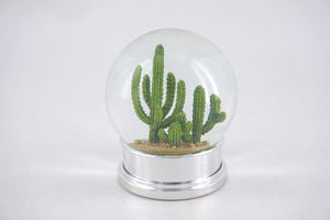 Cactus Desert Snow Globe
