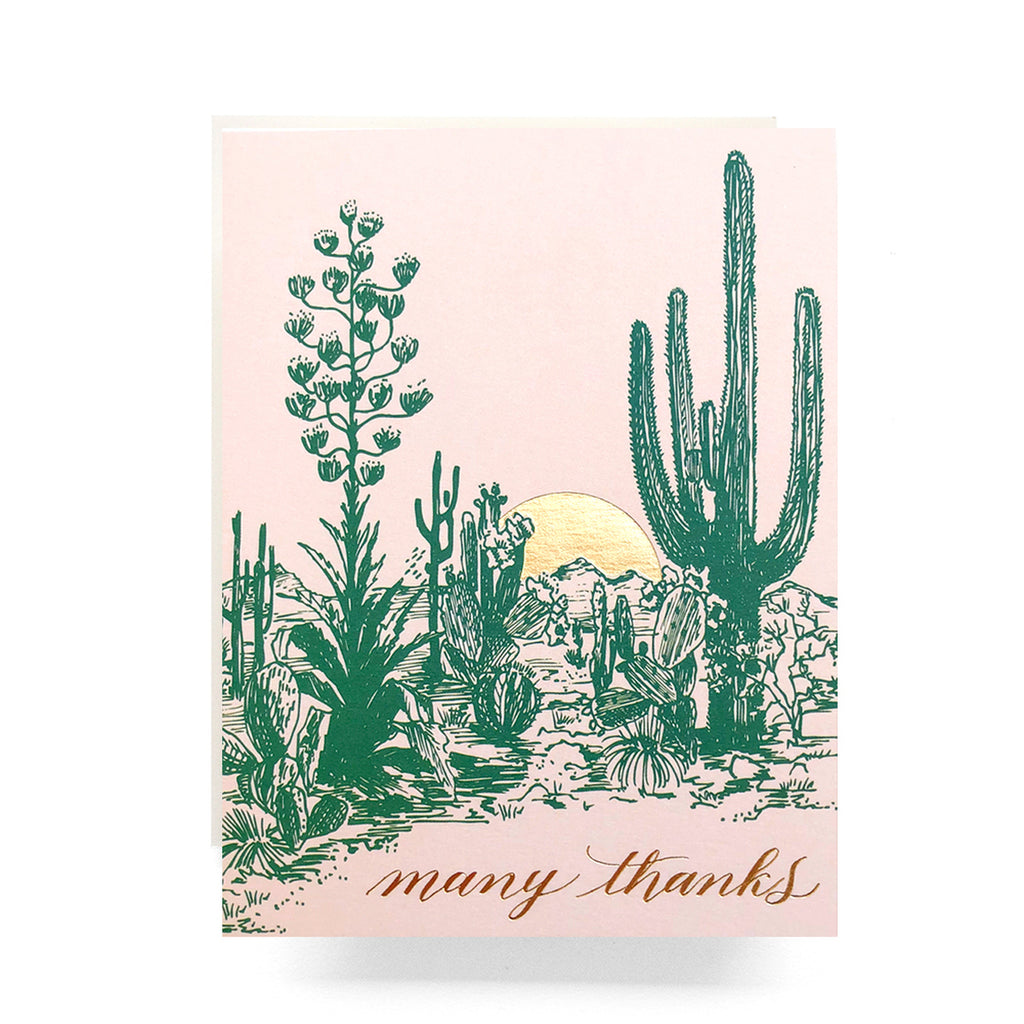 Cactus Sunset Thank You Greeting Card | Box Set