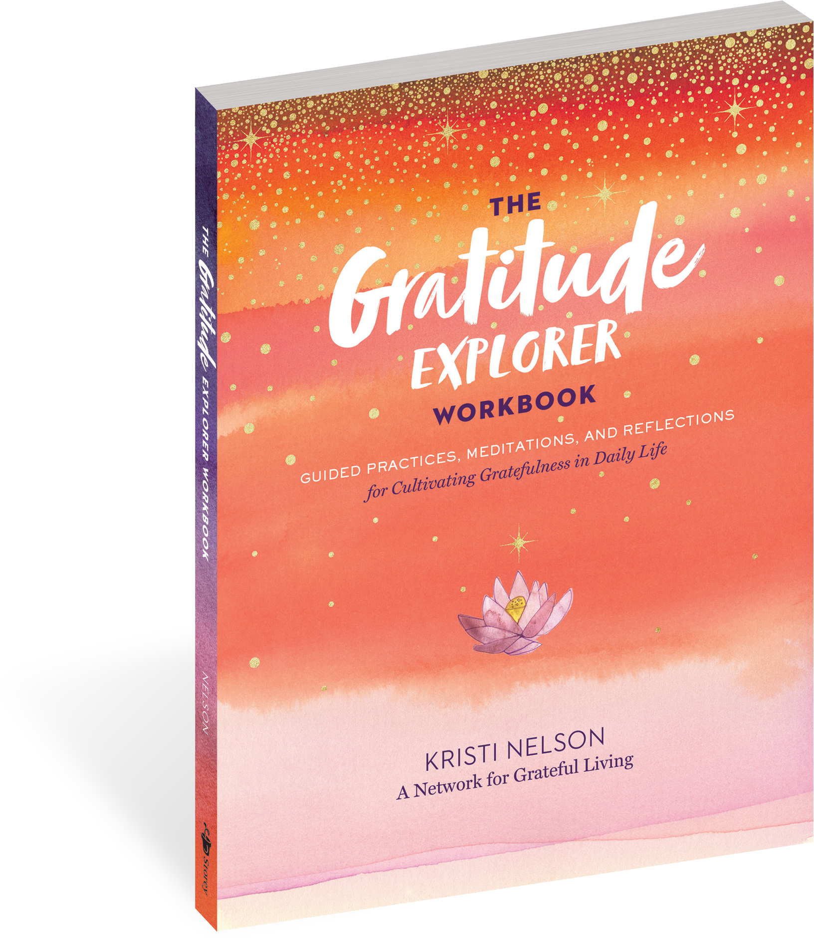 The Gratitude Explorer Workbook: Guided Practices, Meditations, and Reflections for Cultivating Gratefulness in Daily Life