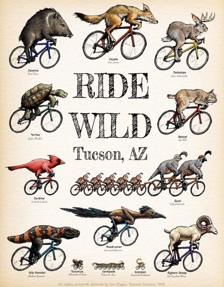 Ride Wild Poster