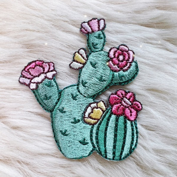 Prickly Pear Cactus Patch – Why I Love Where I Live