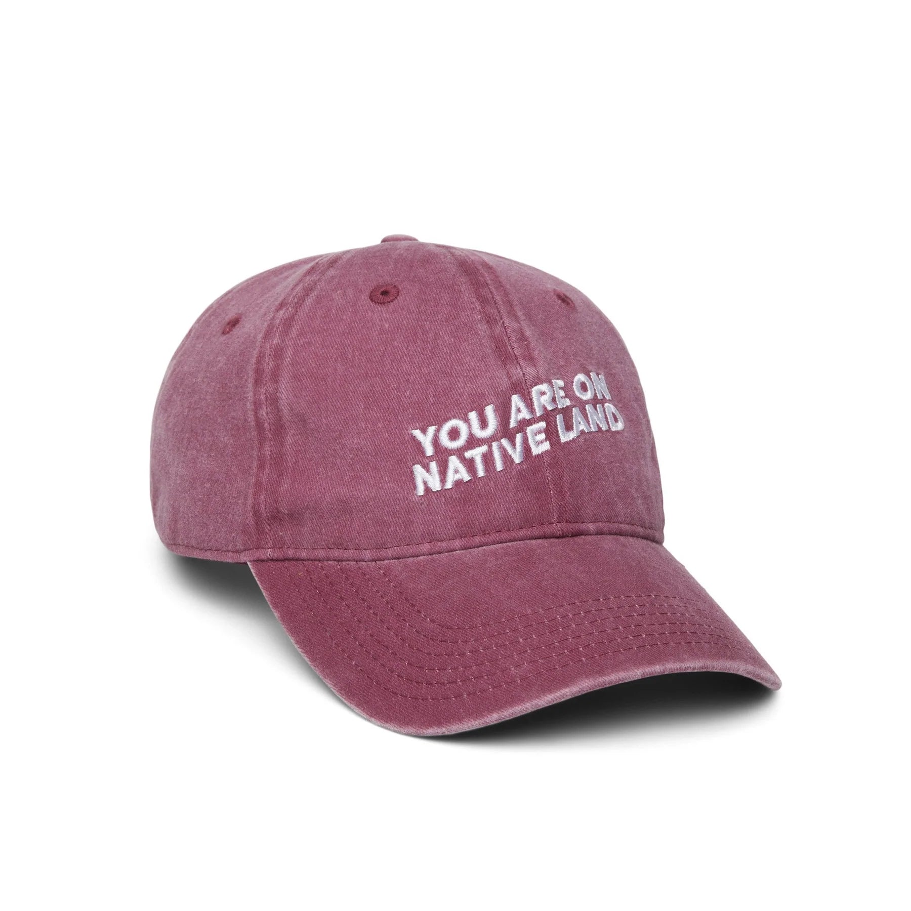 You Are On Native Land Dad Hat