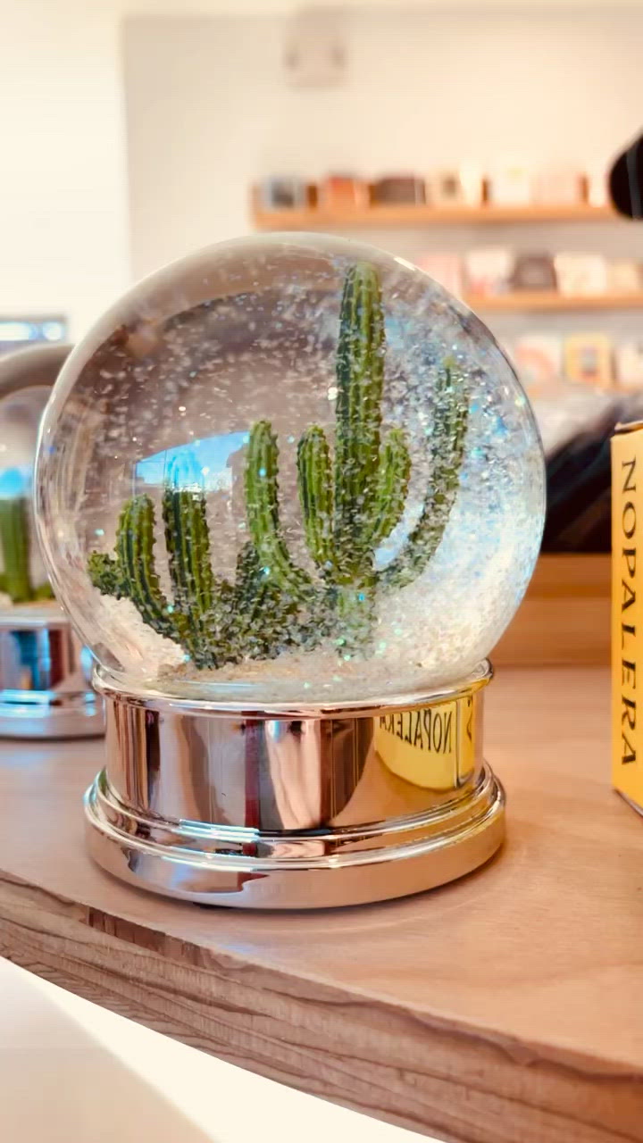 Load video: Cactus Desert Snow Globe