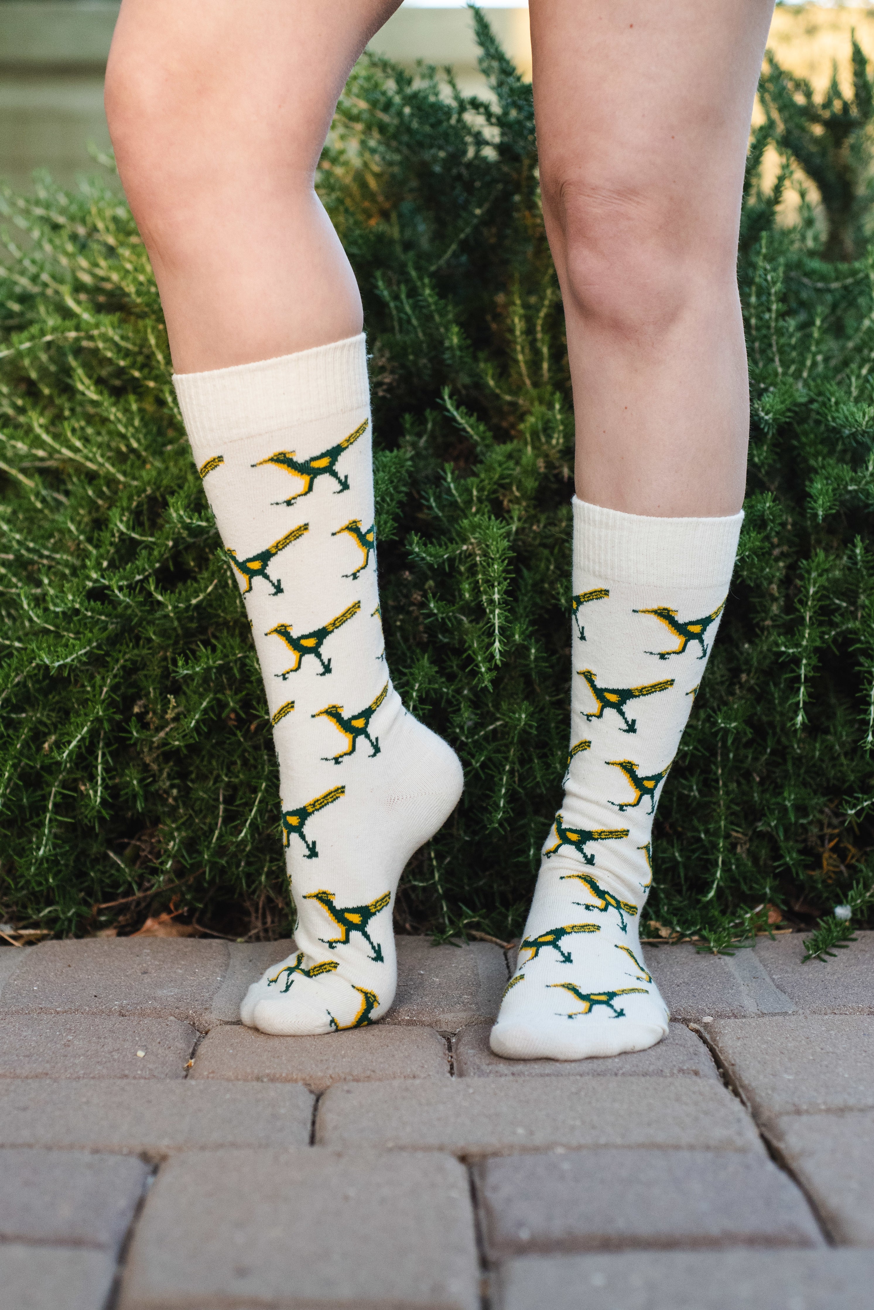 ¡Vamos! Dress Socks