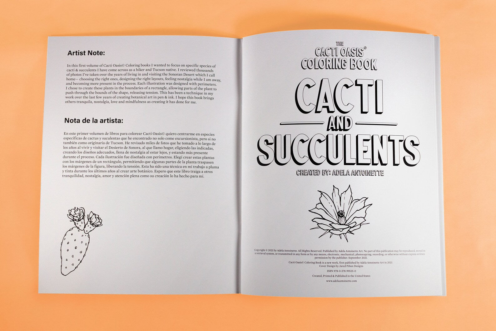 Cacti Oasis Coloring Book