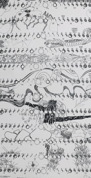 2026-27 Lunar Wall Print