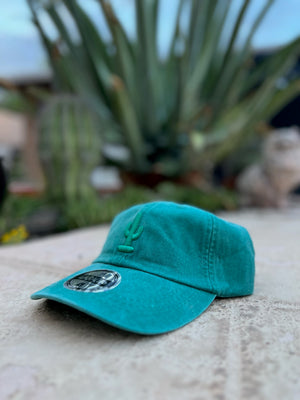 Cactus Dad Hat | Special Release